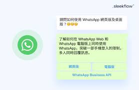 WhatsApp桌面版-whatsapp的界面